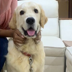 Meet your Posher, Prianca